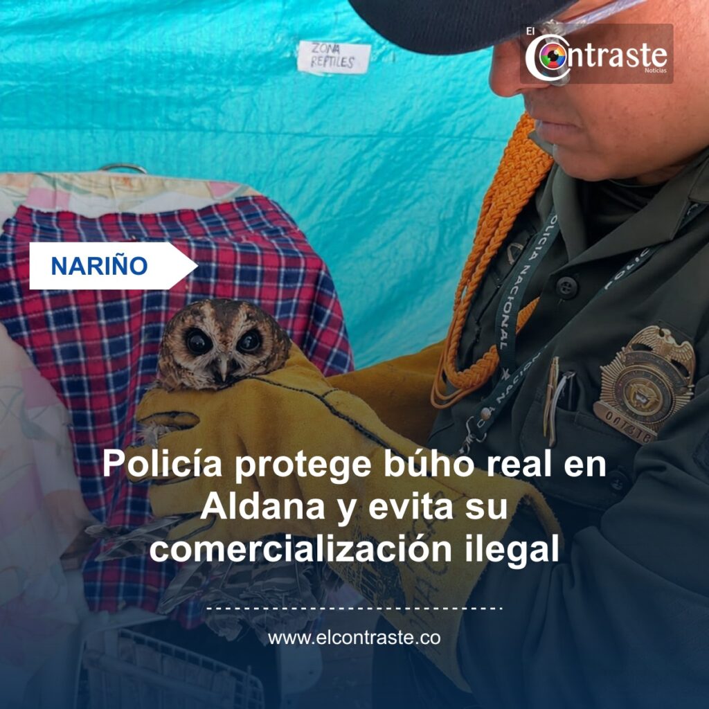 Policía protege búho real en Aldana y evita su comercialización ilegal
