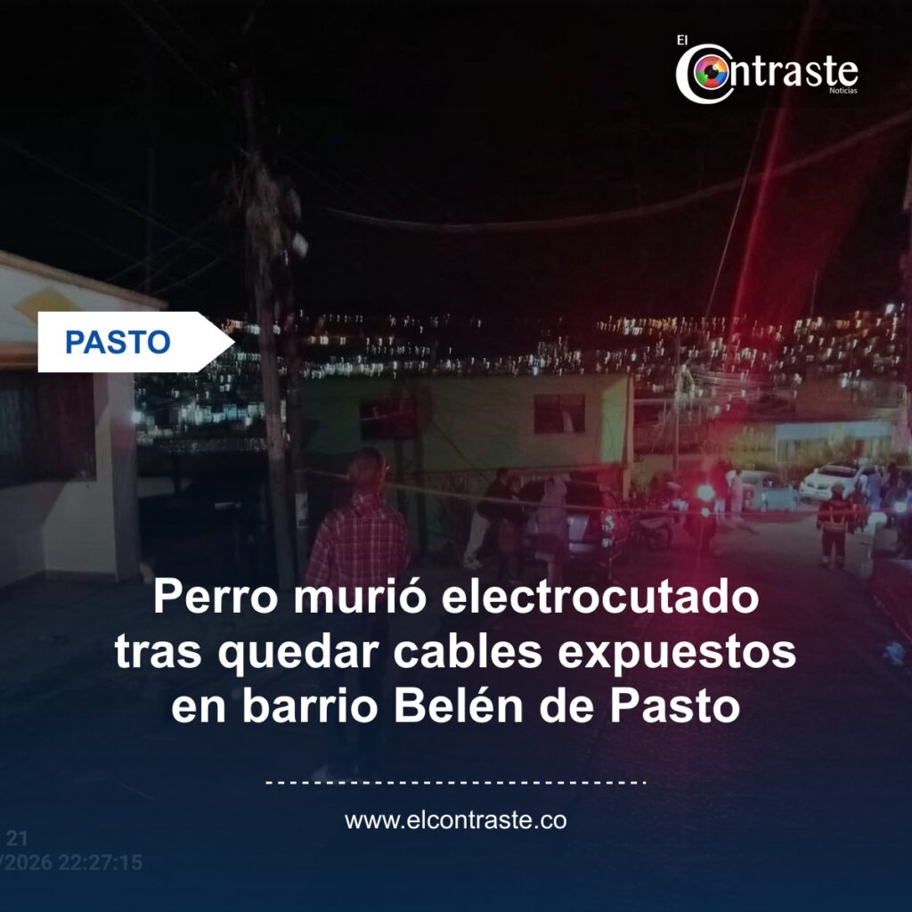 Perro murió electrocutado tras quedar cables expuestos en barrio Belén de Pasto