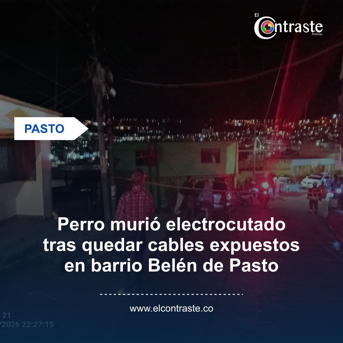 Perro murió electrocutado tras quedar cables expuestos en barrio Belén de Pasto