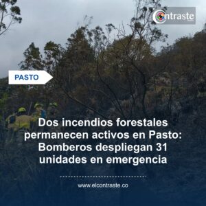 Dos incendios forestales permanecen activos en Pasto: Bomberos despliegan 31 unidades en emergencia