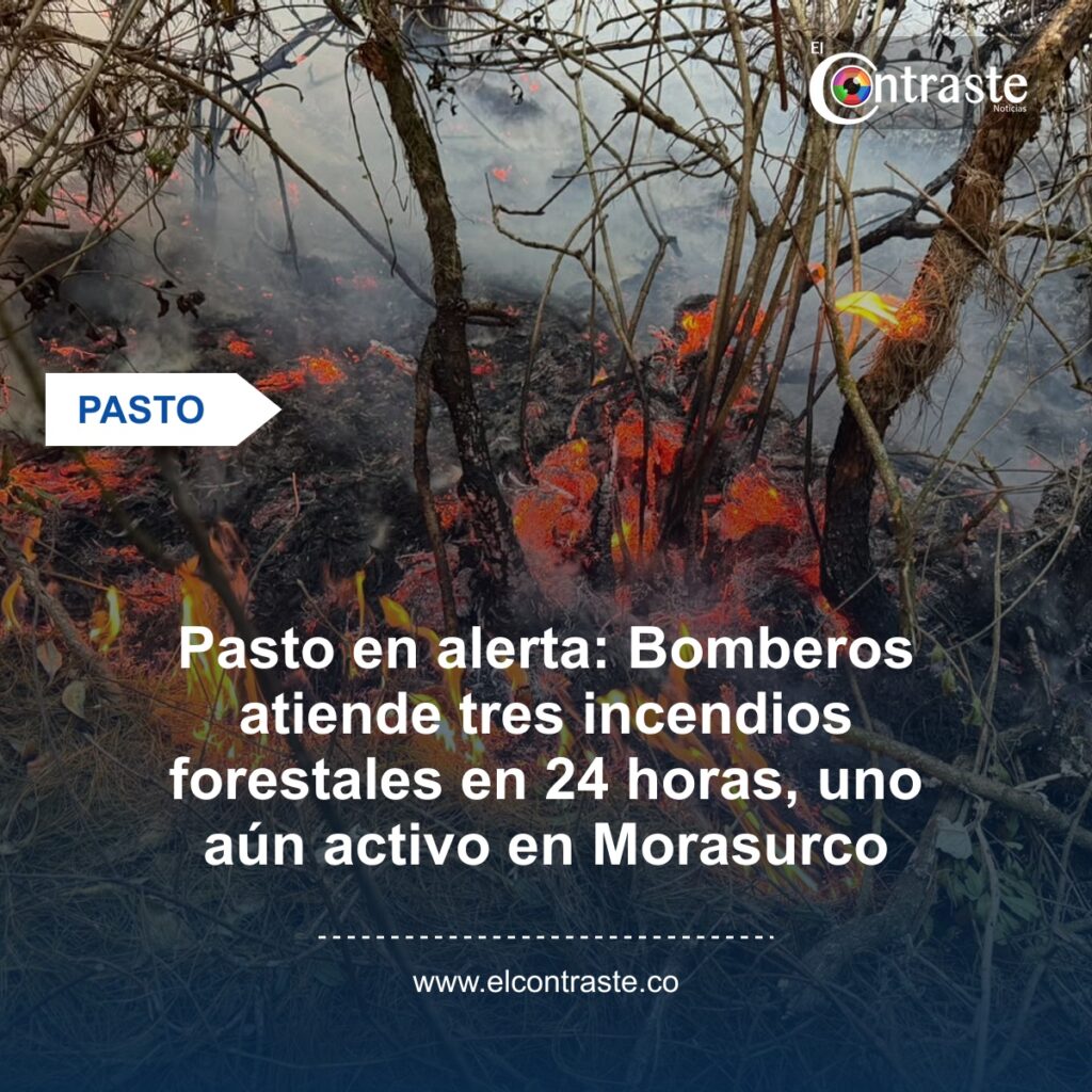 Pasto en alerta: Bomberos atiende tres incendios forestales en 24 horas, uno aún activo en Morasurco