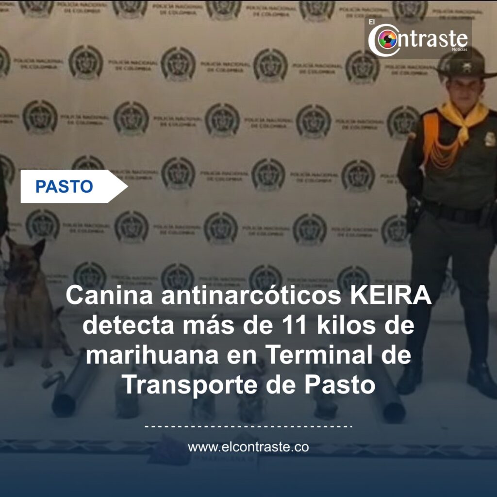 Canina antinarcóticos KEIRA detecta más de 11 kilos de marihuana en Terminal de Transporte de Pasto