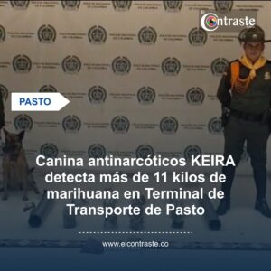 Canina antinarcóticos KEIRA detecta más de 11 kilos de marihuana en Terminal de Transporte de Pasto
