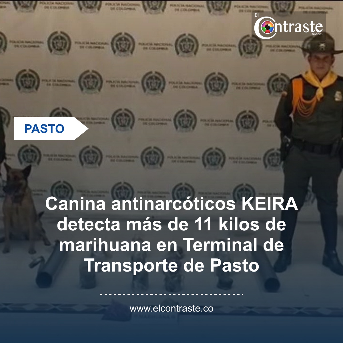 Canina antinarcóticos KEIRA detecta más de 11 kilos de marihuana en Terminal de Transporte de Pasto