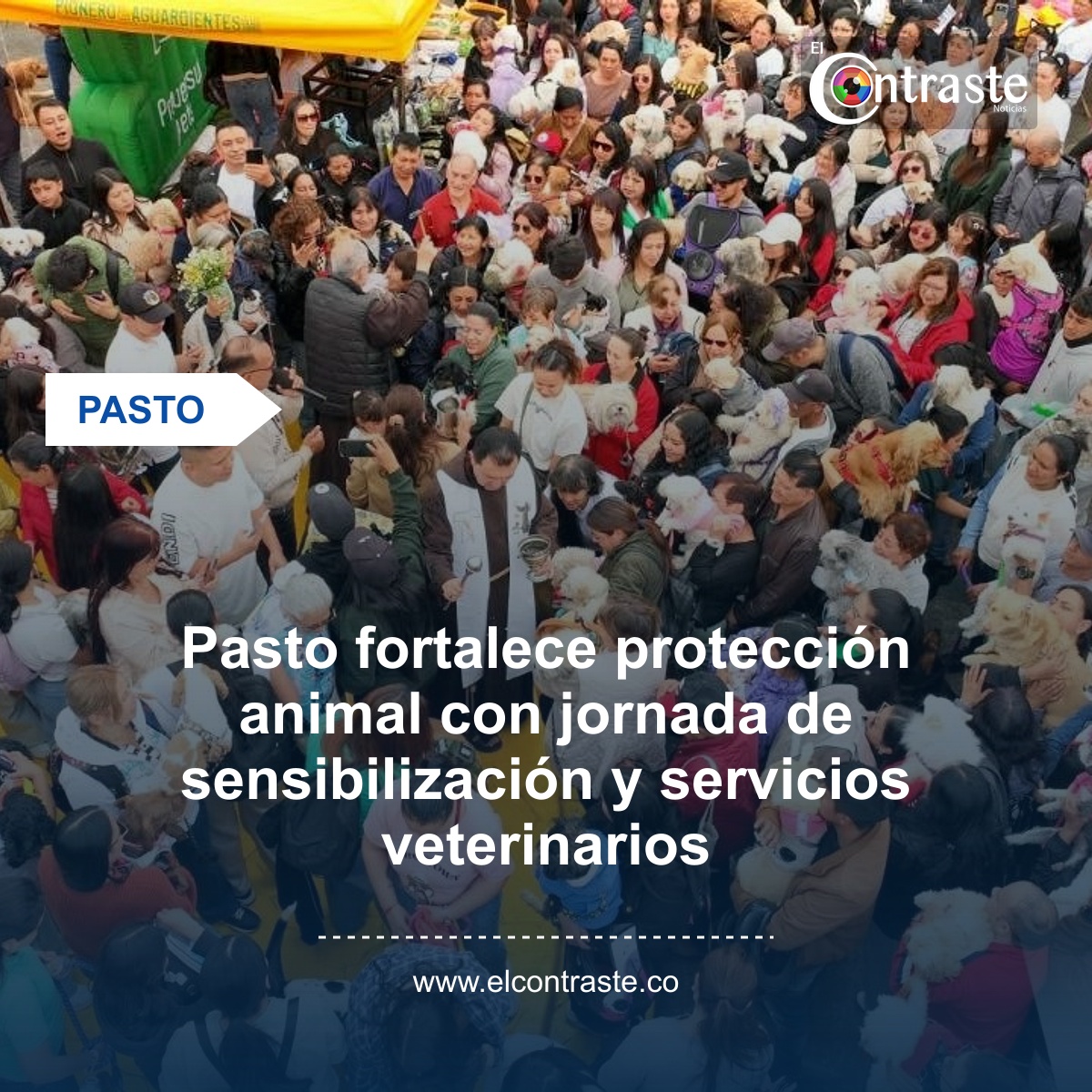 Pasto fortalece protección animal con jornada de sensibilización y servicios veterinarios